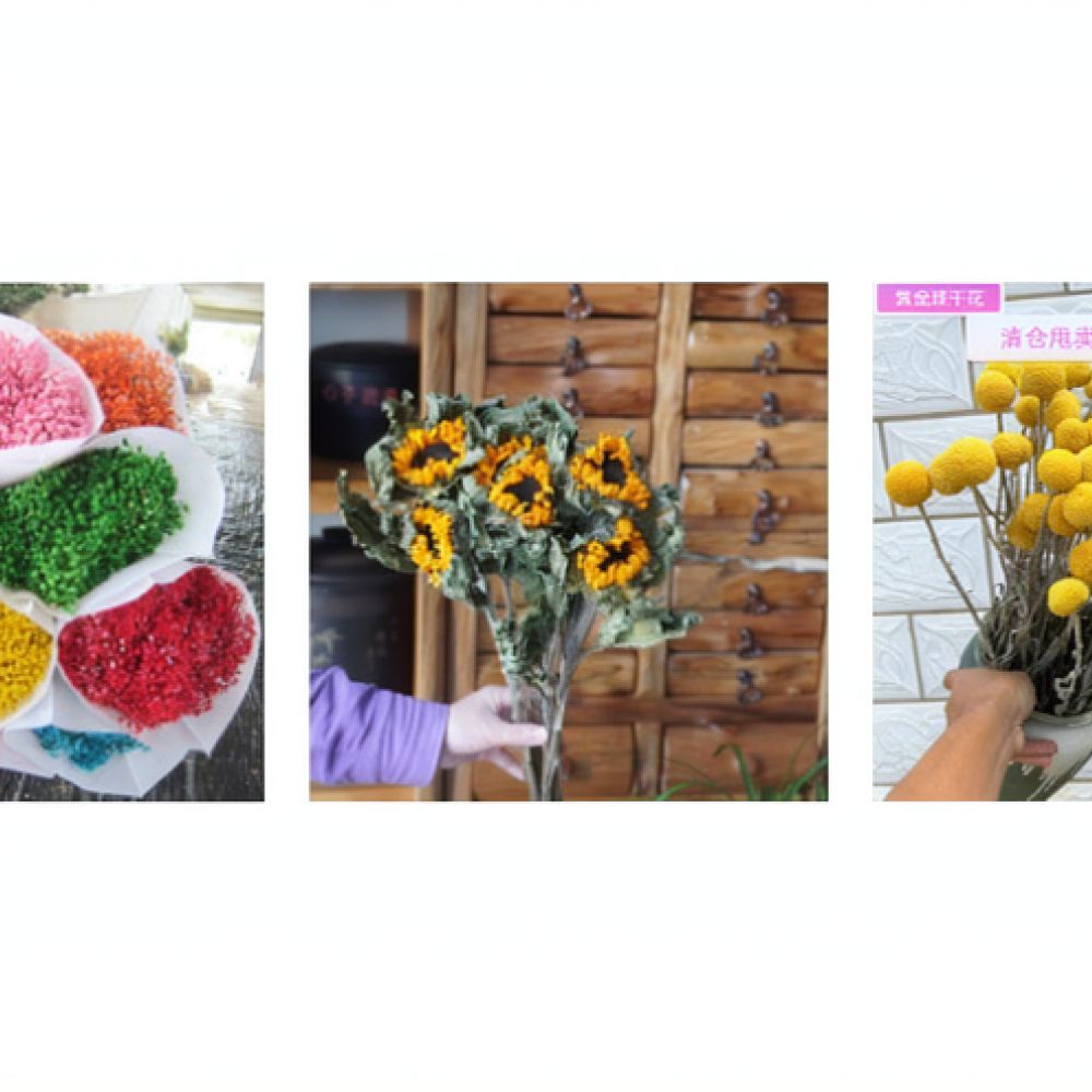 Natural Dried Rose Flower Bouq - Resin Art Rose ulasan dan harga